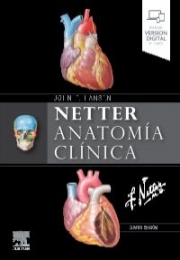 Netter. Anatomía clínica