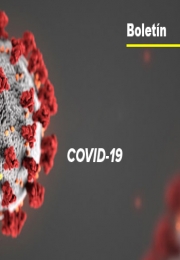 Boletín: COVID-19